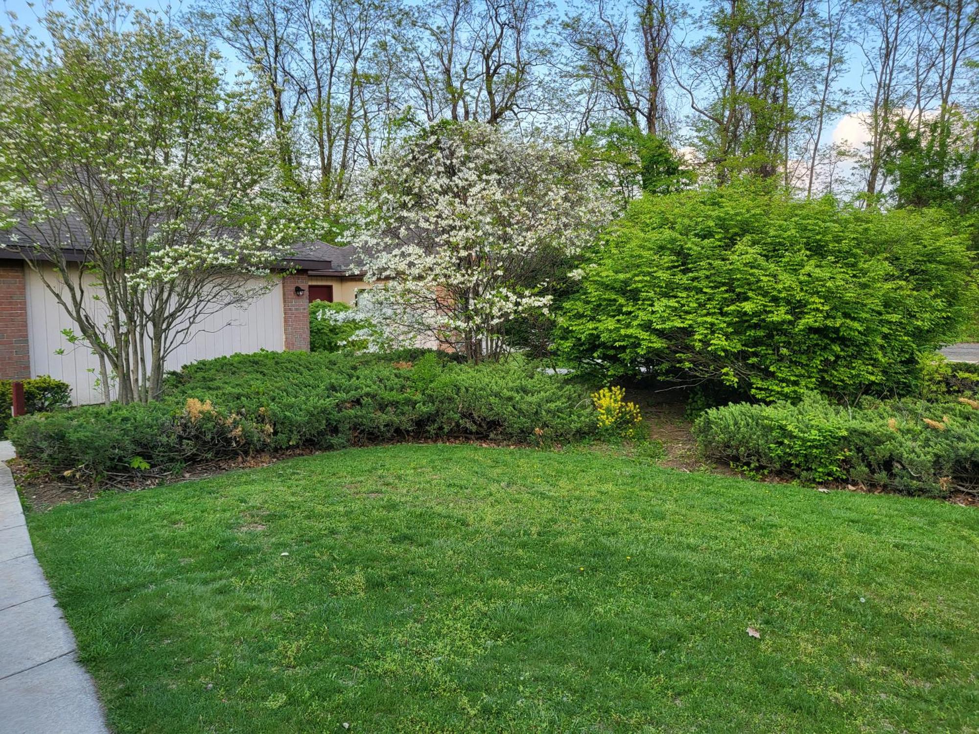Inn of the Dove: Romantic Luxury Suites with Jacuzzi & Fireplace Harrisburg Exterior photo